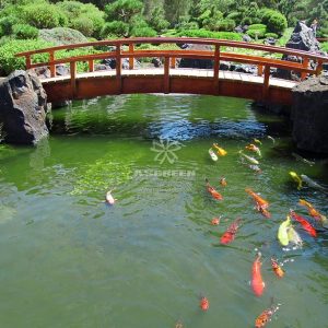 Mẫu hồ cá Koi truyền thống Nhật Bản 28 Mẫu hồ cá Koi truyền thống Nhật Bản 28