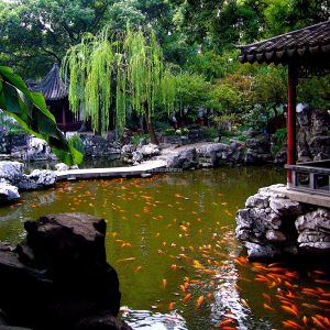 Mẫu hồ cá Koi truyền thống Nhật Bản 29 Mẫu hồ cá Koi truyền thống Nhật Bản 29