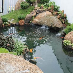 Mẫu hồ cá Koi truyền thống Nhật Bản 37 Mẫu hồ cá Koi truyền thống Nhật Bản 37
