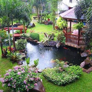 Mẫu hồ cá Koi truyền thống Nhật Bản 9 Mẫu hồ cá Koi truyền thống Nhật Bản 9
