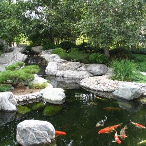 Mẫu hồ cá Koi truyền thống Nhật Bản 21 Mẫu hồ cá Koi truyền thống Nhật Bản 21