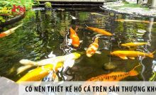 Có nên thiết kế hồ cá cảnh trên sân thượng?