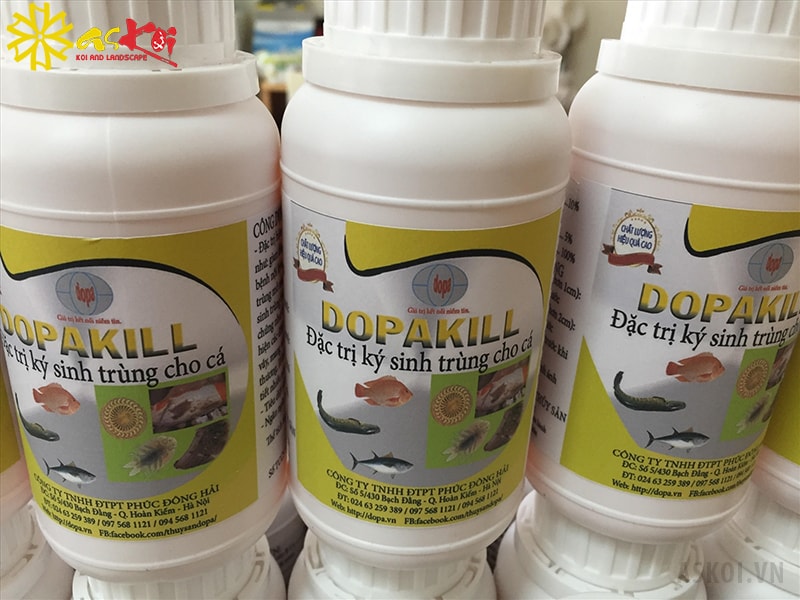 Thuốc Dopa Kill đặc trị bệnh trùng mỏ neo ở cá Koi