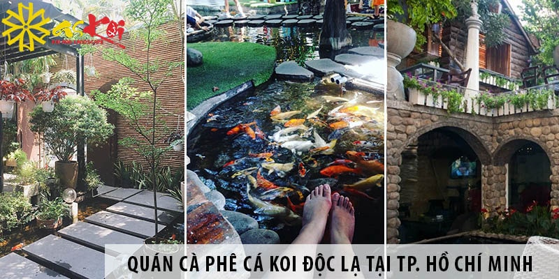 Top 5 quán cà phê cá Koi độc lạ tại Tp. Hồ Chí Minh