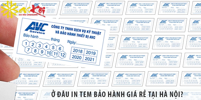 Ở đâu in tem bảo hành giá rẻ tại Hà Nội?